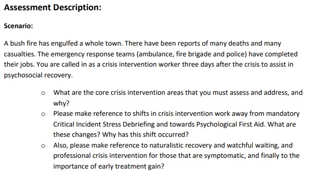 social science dissertation writing assessment description sample