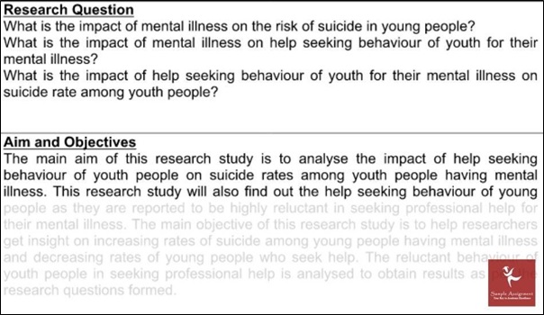 social work assignment sample research question