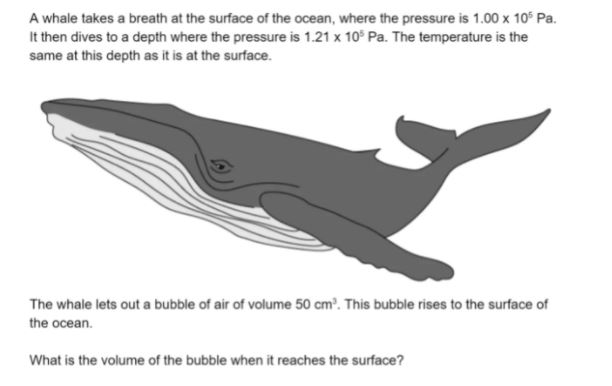 thermal physics homework help usa