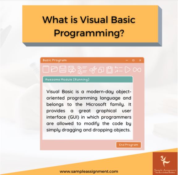 visaual basic programming assignment help