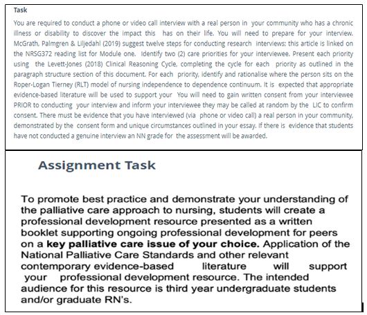 Assignments Task on NRSG372 Principles of Nursing