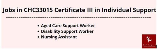 CHC33015 Certificate III In Individual Support Workbook Assessment Answer