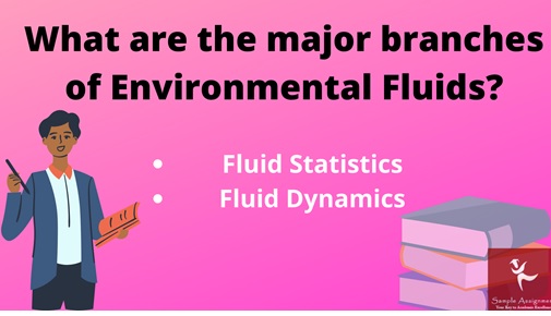 Environmental Fluid Assignment Help