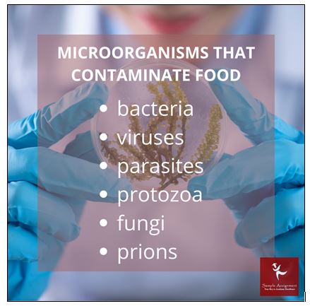 Food Microbiology Dissertation Experts