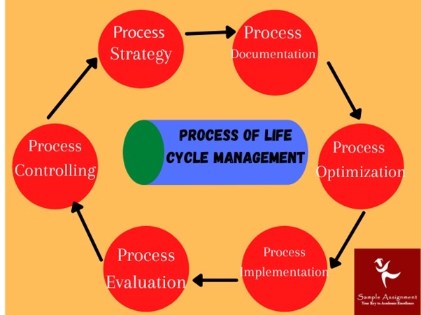 Life Cycle Management process