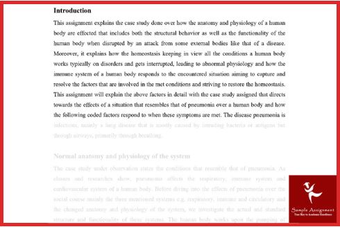 anatomy assignment sample online