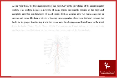 anatomy assignment sample solution