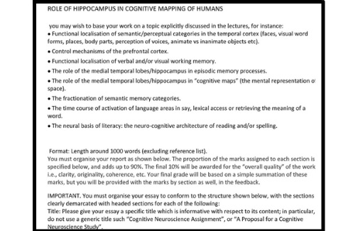 behavioural neuroscience assignment sample services