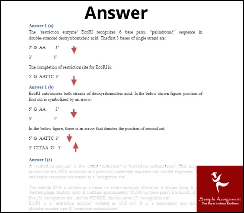 biotechnology assignment sample answer