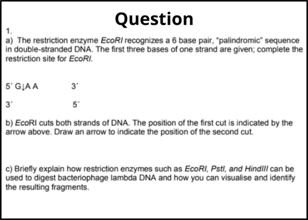 biotechnology assignment sample question