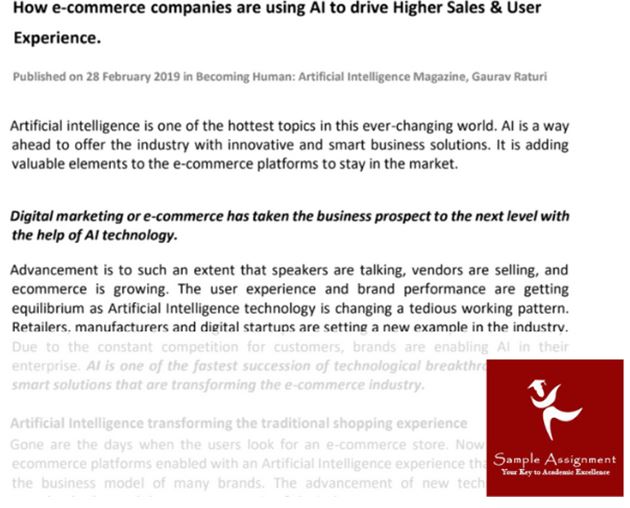 e business Individual Aplication Assignment