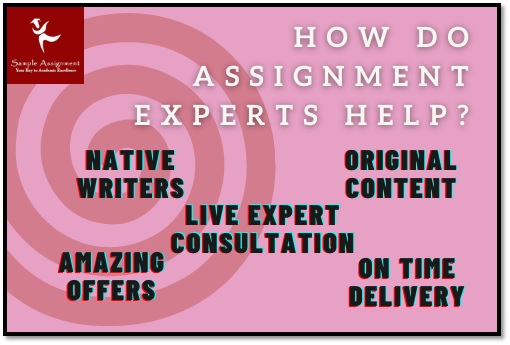 how do assignment experts help