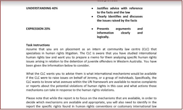 human rights assignment sample