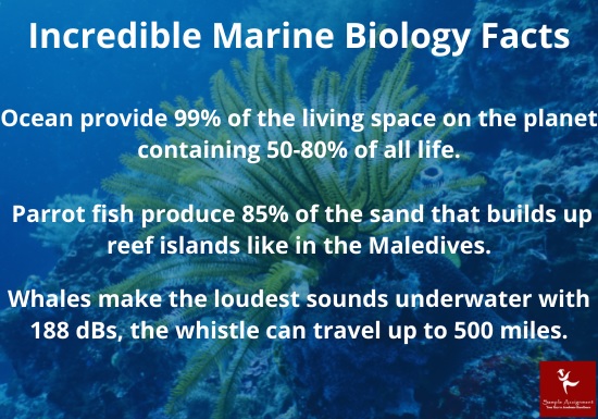 incredible marine biology facts