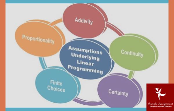 linear programming assignment