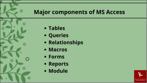 ms access assignment online