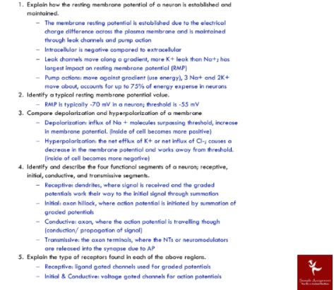 neurophysiology assignment sample