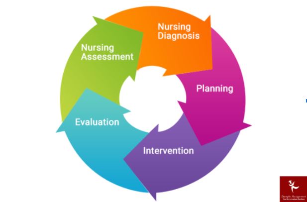 online primary health care nursing assignment