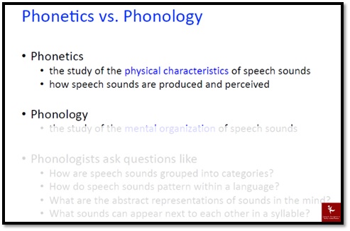 phonology assignment sample online