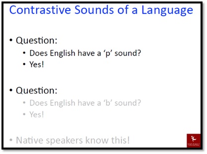 phonology assignment sample solution