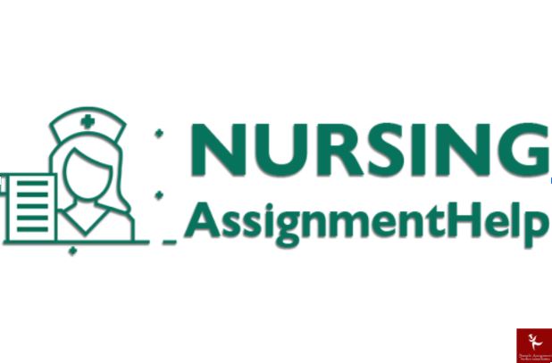 primary health care nursing assignment