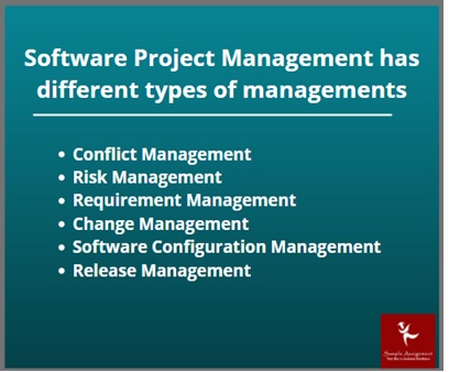 software project management