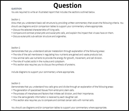 stem cell assignment sample question