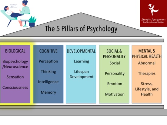 the 5 pillars of psychology