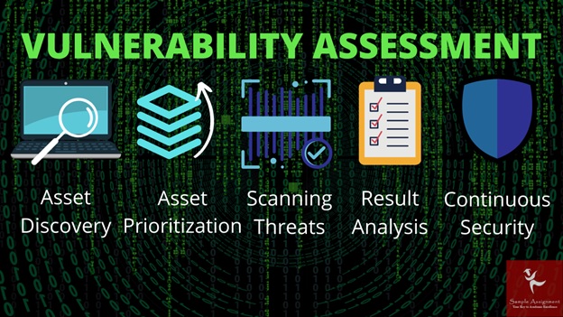 vulnerability assessment online