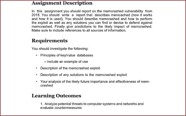 vulnerability sample assignment description