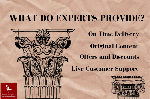 what do expert provide