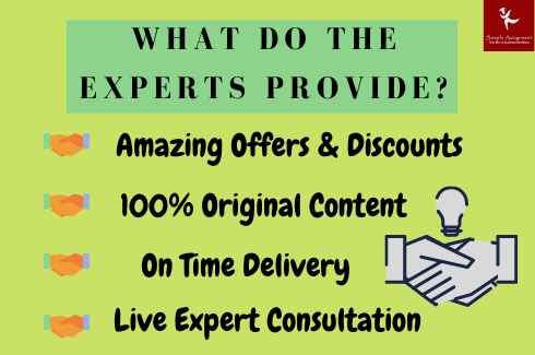 what do the expert provide assignmnet