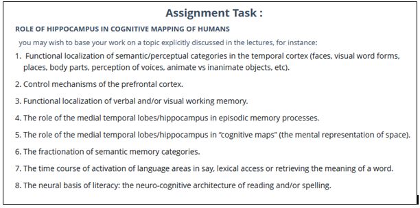 Neuroscience Homework Question