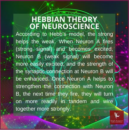 Neuroscience homework help