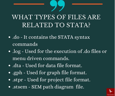 STATA type