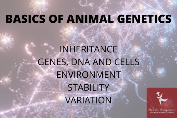 basic of animal genetics