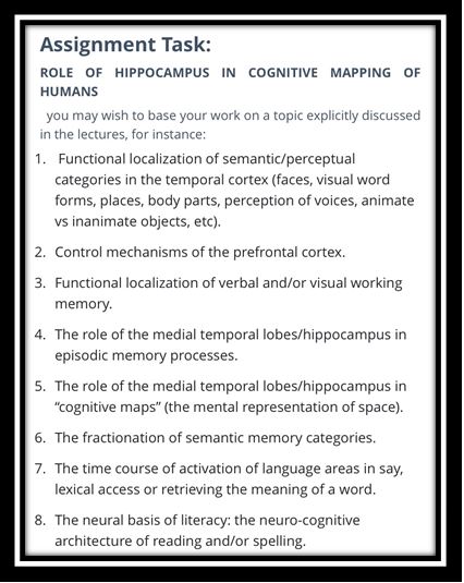 clinical neuroscience assignment task