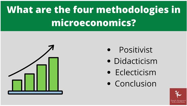 methodological economics assignment help