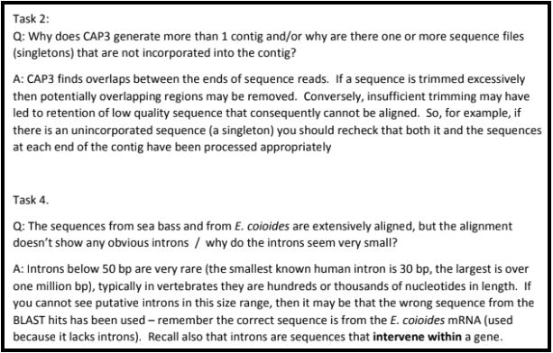 molecular biology assignment sample solution