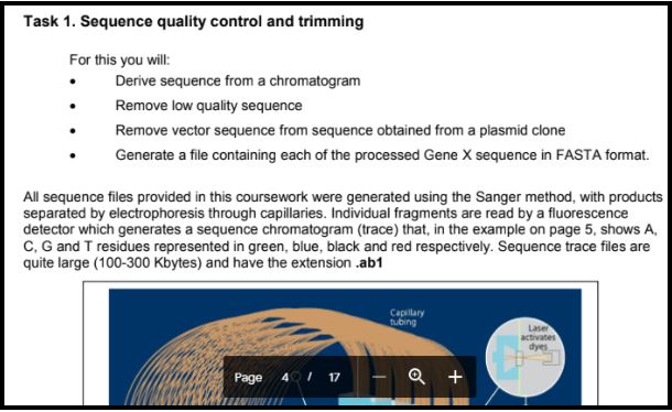 molecular biology assignment sample