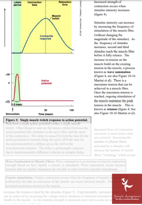 neurophysiology homework help graph