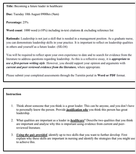 nsg3epn engagement in professional nursing assignment