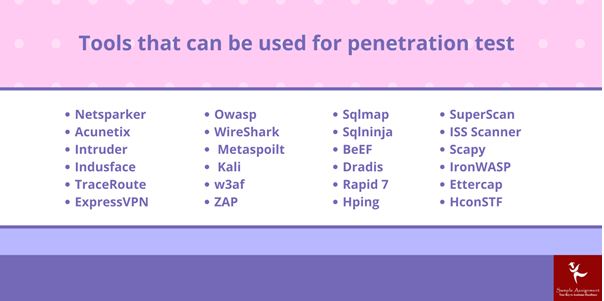 penetration testing assignment help