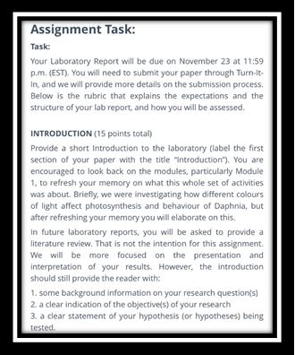 photochemistry assignment task