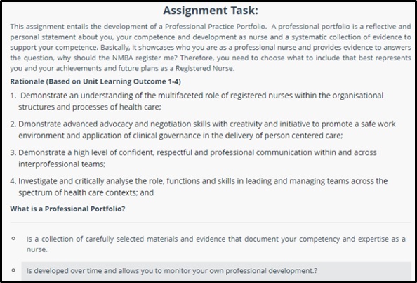 professional practice portfolio in nursing sample