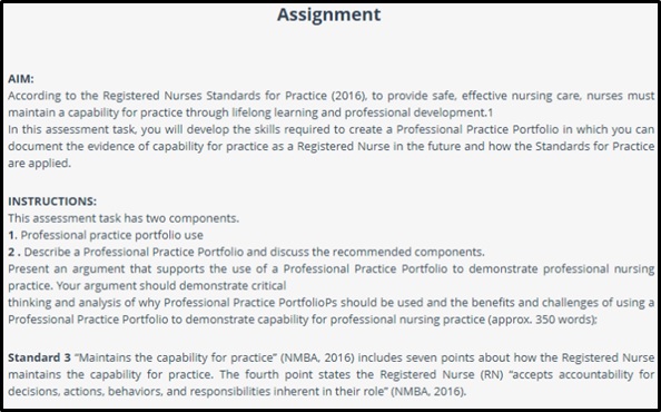 professional practice portfolio in nursing samples