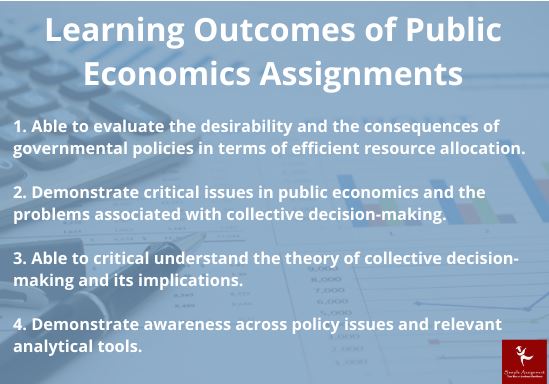 public economics assignment help