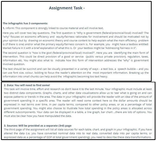 public economics assignment task