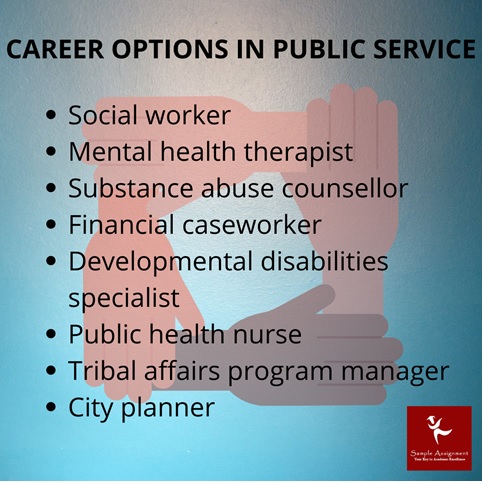 public service career option