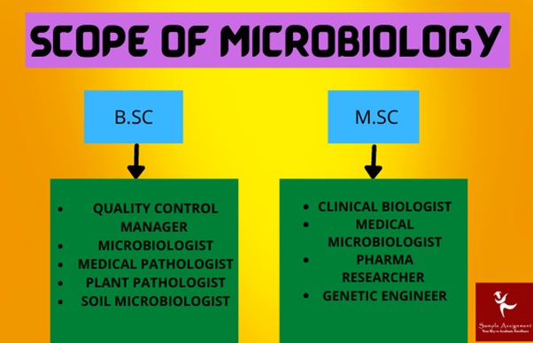 scope of microbiology